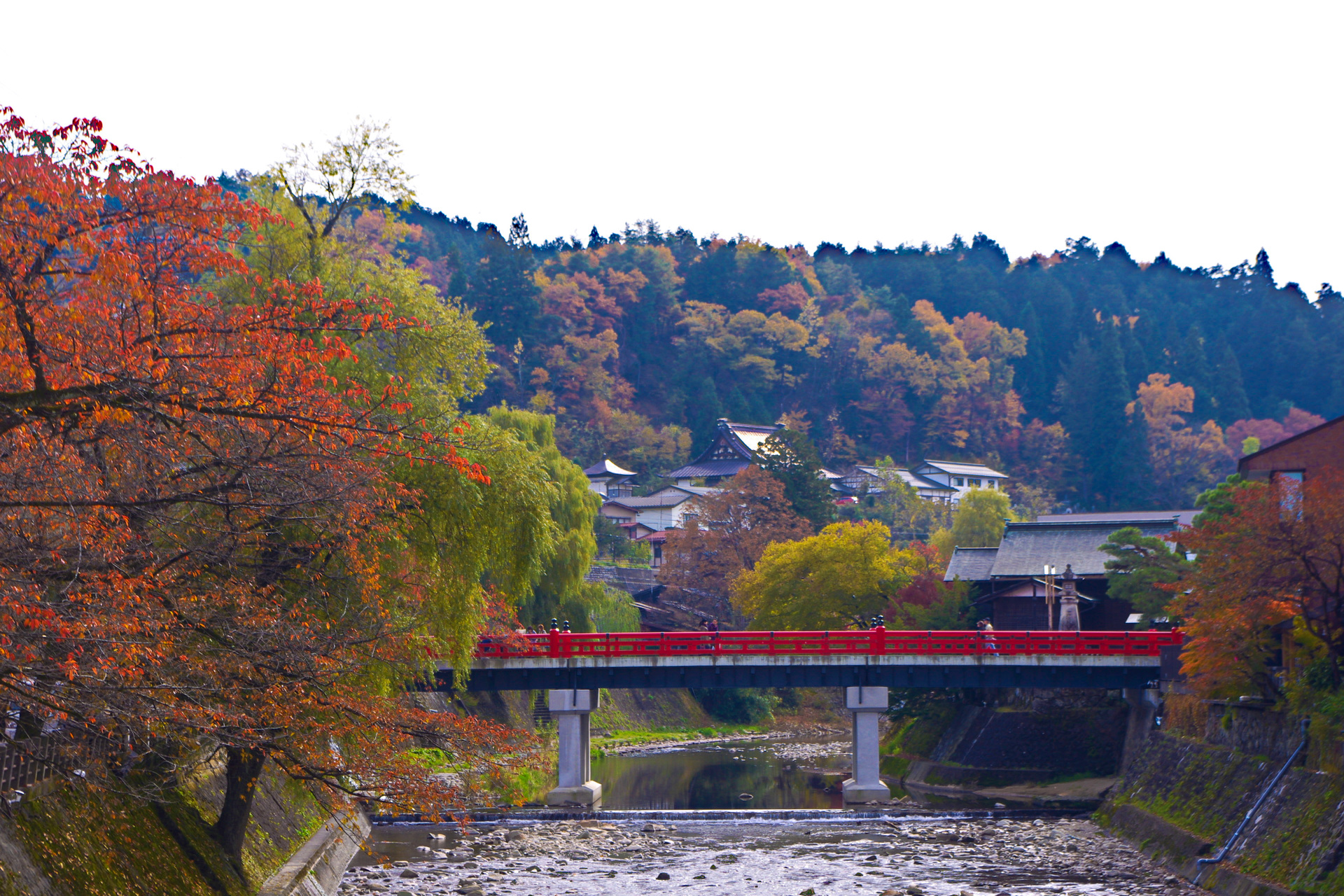 日本の風景 飛騨高山 中橋と紅葉 壁紙19x1280 壁紙館