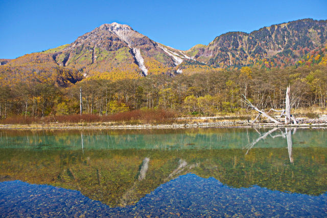 上高地・焼岳と黄葉