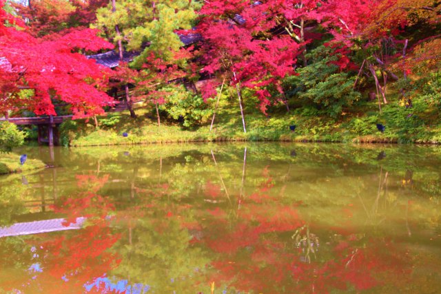 水面に映る紅葉