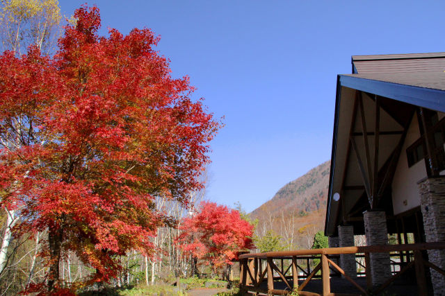 平湯あかんだな駐車場の紅葉