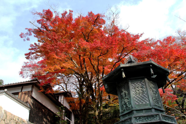 灯籠と紅葉＠善峯寺