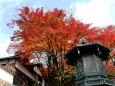 灯籠と紅葉＠善峯寺