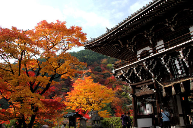 山門と紅葉＠善峯寺