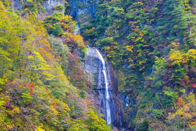 紅葉のしりたか滝