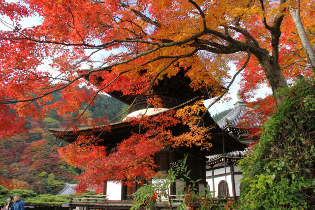 多宝塔と紅葉＠善峯寺