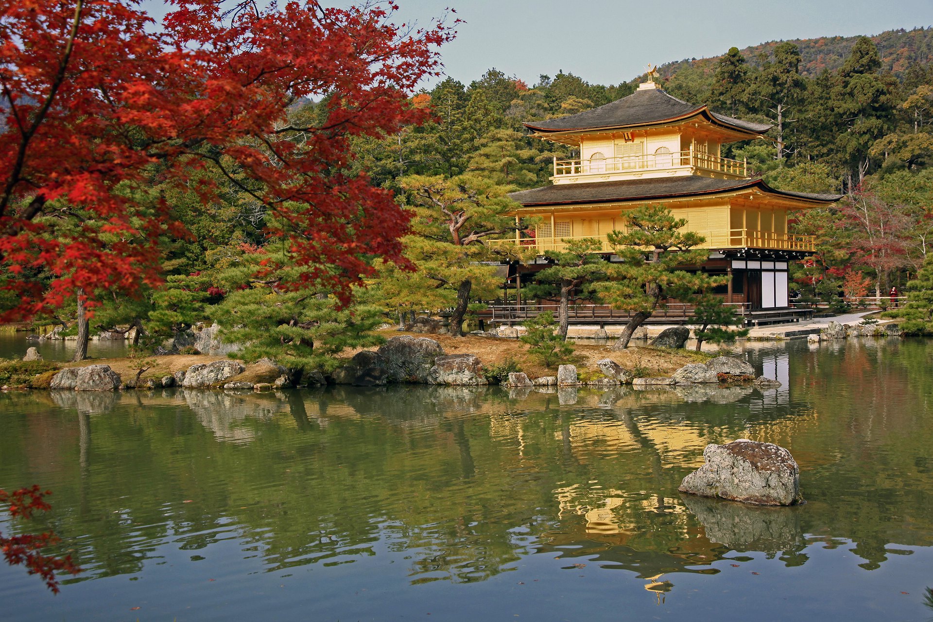 日本の風景 秋の金閣寺 壁紙19x1280 壁紙館