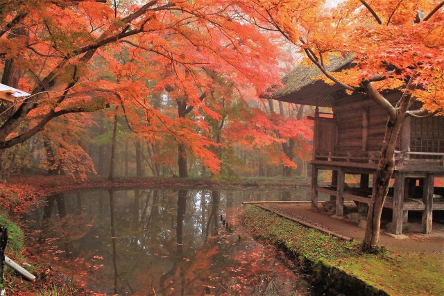 秋の中尊寺