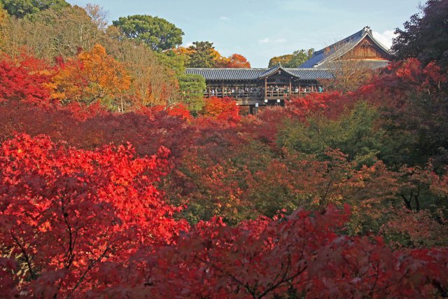 東福寺(撮影禁止前)