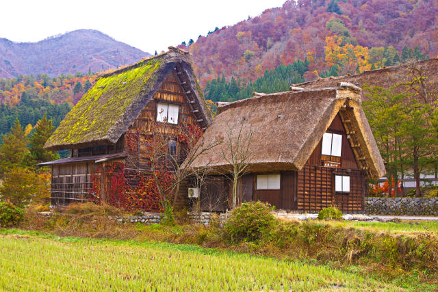 秋の白川郷