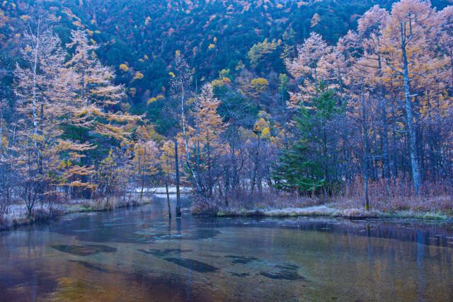 上高地の秋・朝の田代池