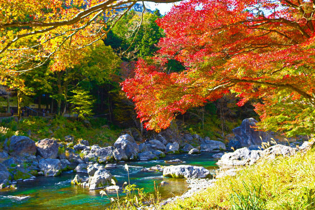 奥多摩・御岳渓谷の秋