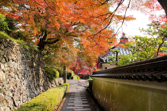 紅葉・阿弥陀坂＠善峯寺