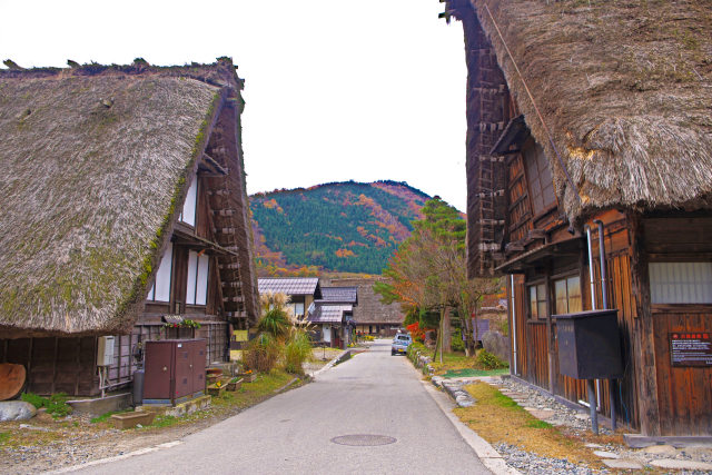 秋の白川郷