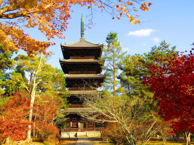 紅葉の御室仁和寺五重塔