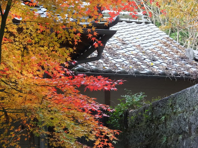 日本の秋、静の風情