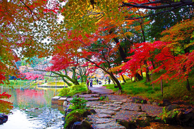 錦秋の小石川後楽園