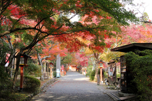 紅葉のトンネル＠大原野