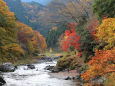 錦秋の御岳渓谷