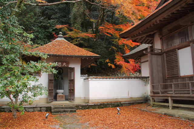 庭も屋根も散紅葉＠永源寺