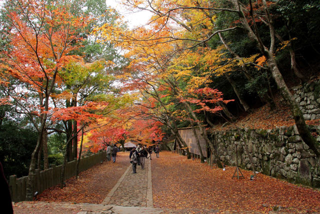 参道の散紅葉＠永源寺