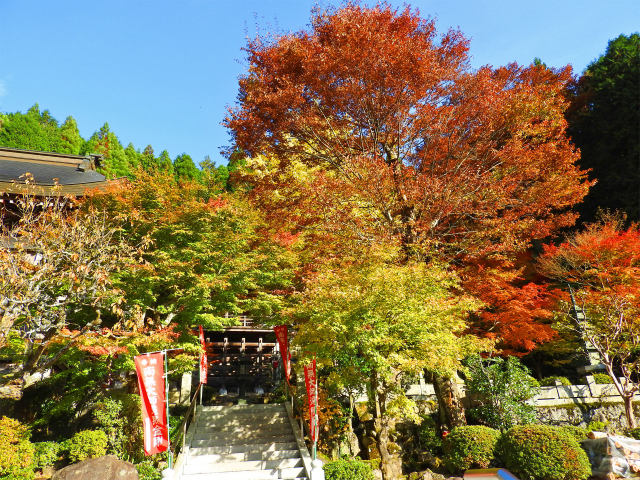 長源寺の紅葉4