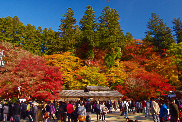 香嵐渓広場の紅葉