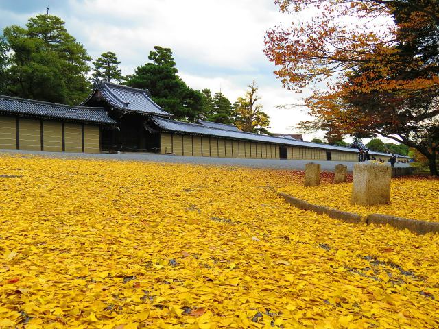 黄金色の京都御所