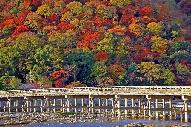 渡月橋