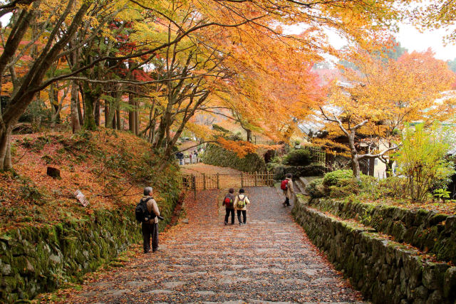 石段の参道＠百済寺