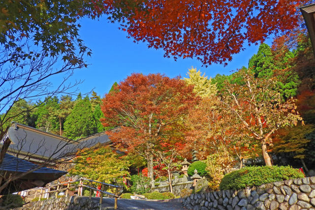 長源寺の紅葉6