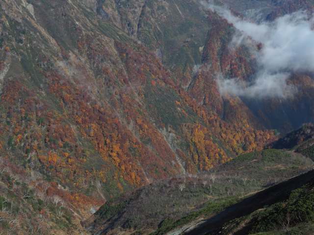 谷の紅葉