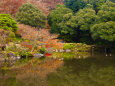 旧古河庭園・心字池と紅葉