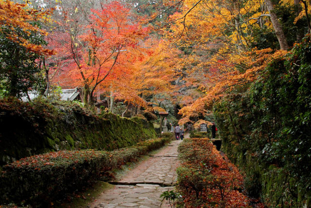 石畳の参道＠金剛輪寺