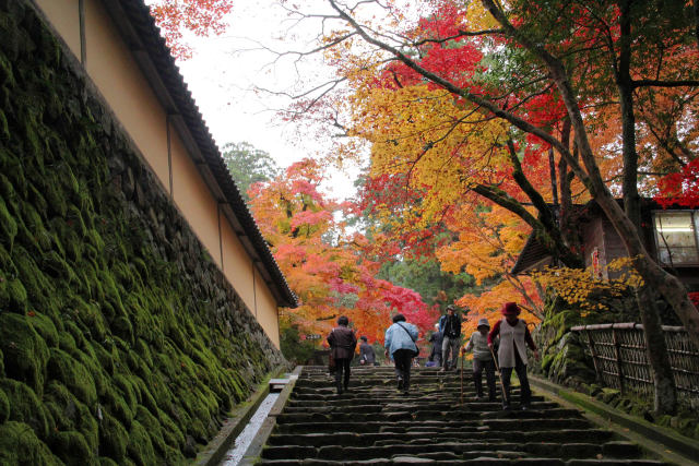 苔生した石段の参道