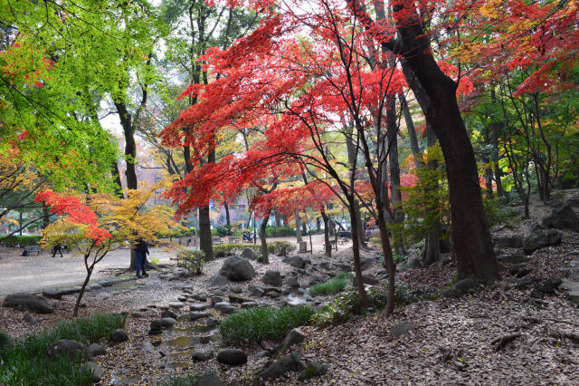 芝公園の紅葉-5