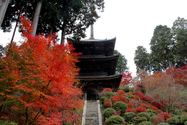 湖南三山常楽寺・三重塔と紅葉