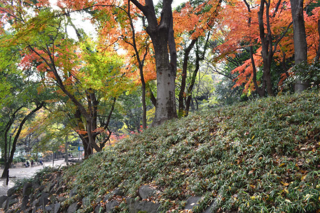 芝公園の紅葉-7