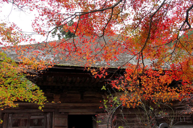 湖南三山長寿寺・本堂と紅葉