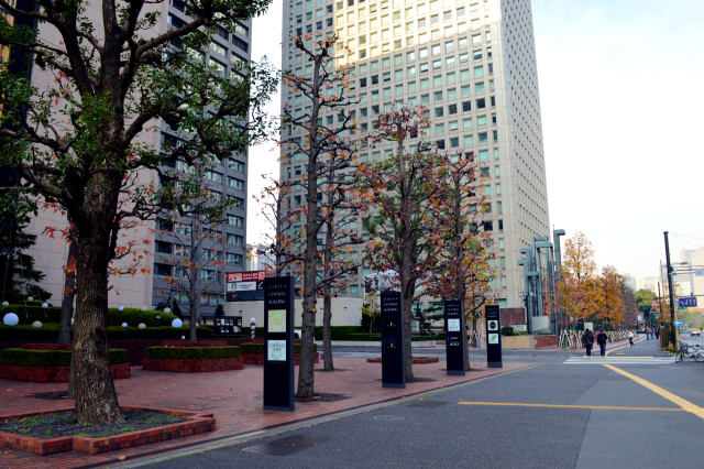 日比谷通りの歩道