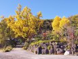 秋の西方寺