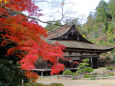 湖南三山善水寺・本堂と紅葉