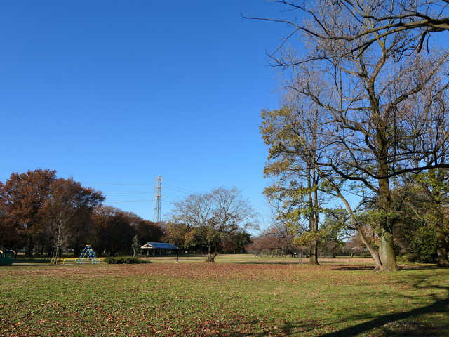 初冬の小金井公園(LX9にて撮影)