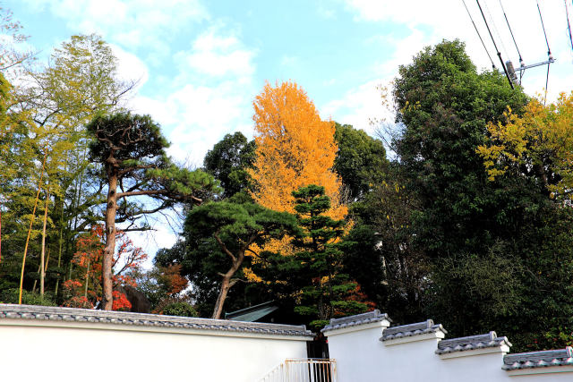 初冬の寺院