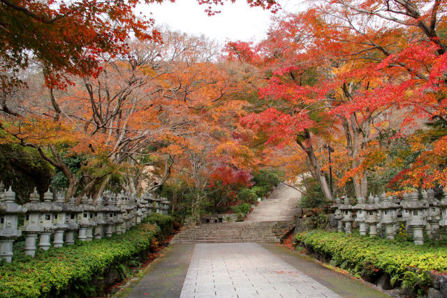 紅葉の勝尾寺・参道の灯籠