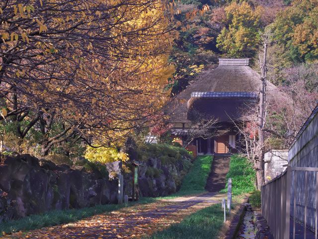 晩秋の西方寺