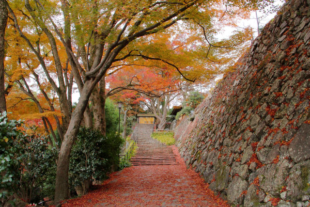 紅葉の勝尾寺・鐘楼下の参道