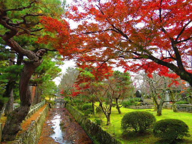 大覚寺・時代劇の舞台になる風景