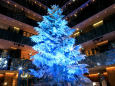 XmasTree Blue