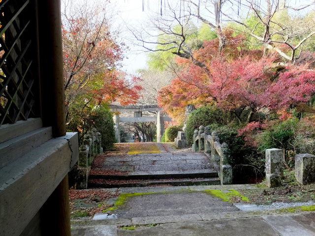 晩秋の参道