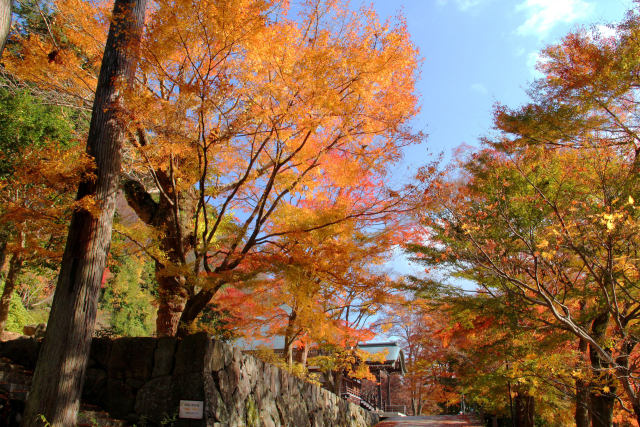 紅葉の勝尾寺・二階堂周辺